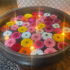 Aroma-100-23