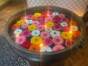 Aroma-100-23